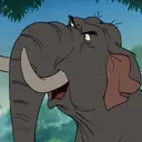 Coronel Hathi
