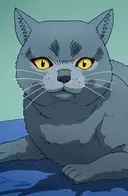 Tama