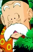 Vovô Gohan