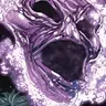 Lord Chaos