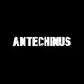 Antechinus