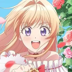 Mayo Momoyo