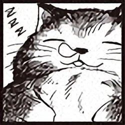 Ippon Nagare