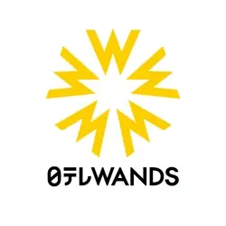 NTV Wands