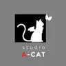 Studio A-Cat
