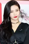 Joy
