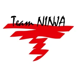 Team Ninja