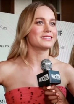 Brianne Sidonie Desaulniers