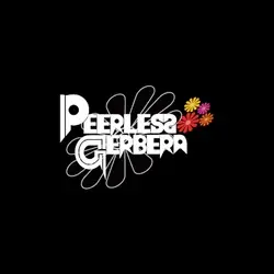 Peerless Gerbera