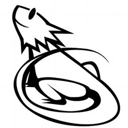Rarusan