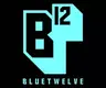 BlueTwelve Studio