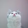 Doori