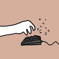 Ram Write