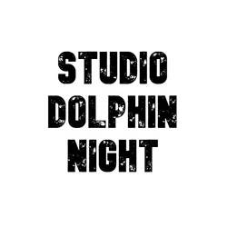 Studio Dolphin Night