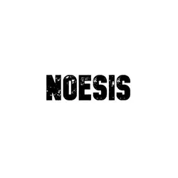 Noesis