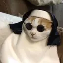 XimbinhA