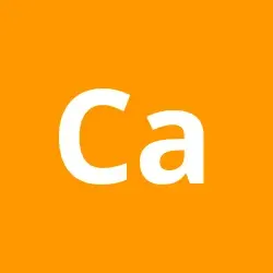 Carvalho337