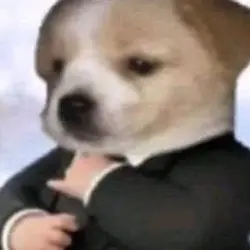 TsubakiLX