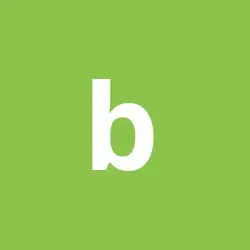  bolo