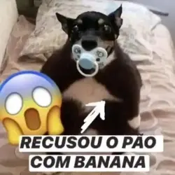 Ygor